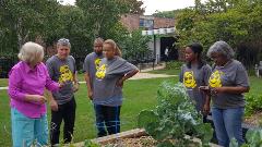 WPMcK_The Boulevard_Gardening Instructions_0923 CPA Day of Service participants from Washington, Pittman & McKeever, LLC in Chicago join Illinois CPA Society President & CEO, Todd Shapiro (2nd from left), at a community garden on the city’s west side.