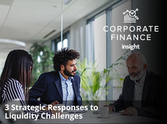 Corporate Finance Insight