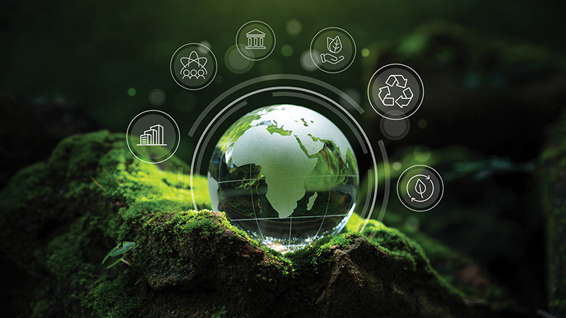 A globe sitting on a mossy rock